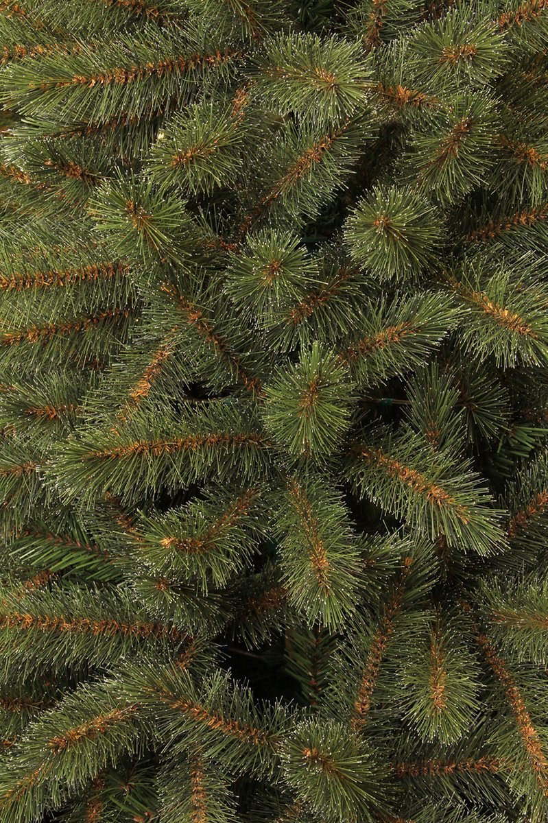 Triumph Tree Bristlecone Kunstkerstboom 230 cm Groen