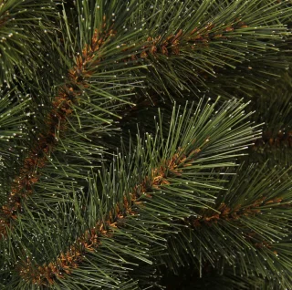 Triumph Tree Bristlecone Kunstkerstboom Groen H155xØ99cm