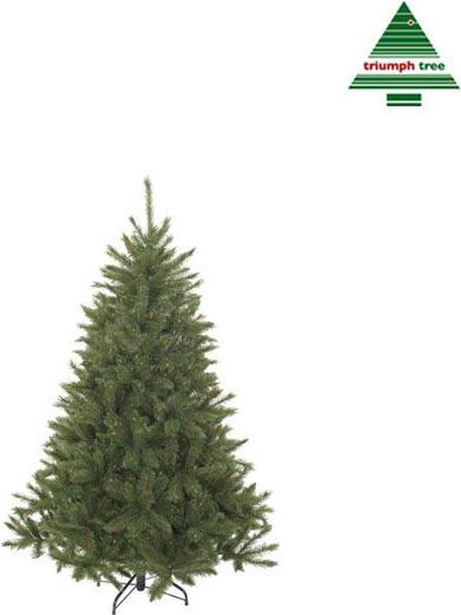 Triumph Tree Bristlecone Kunstkerstboom Groen H155xØ99cm