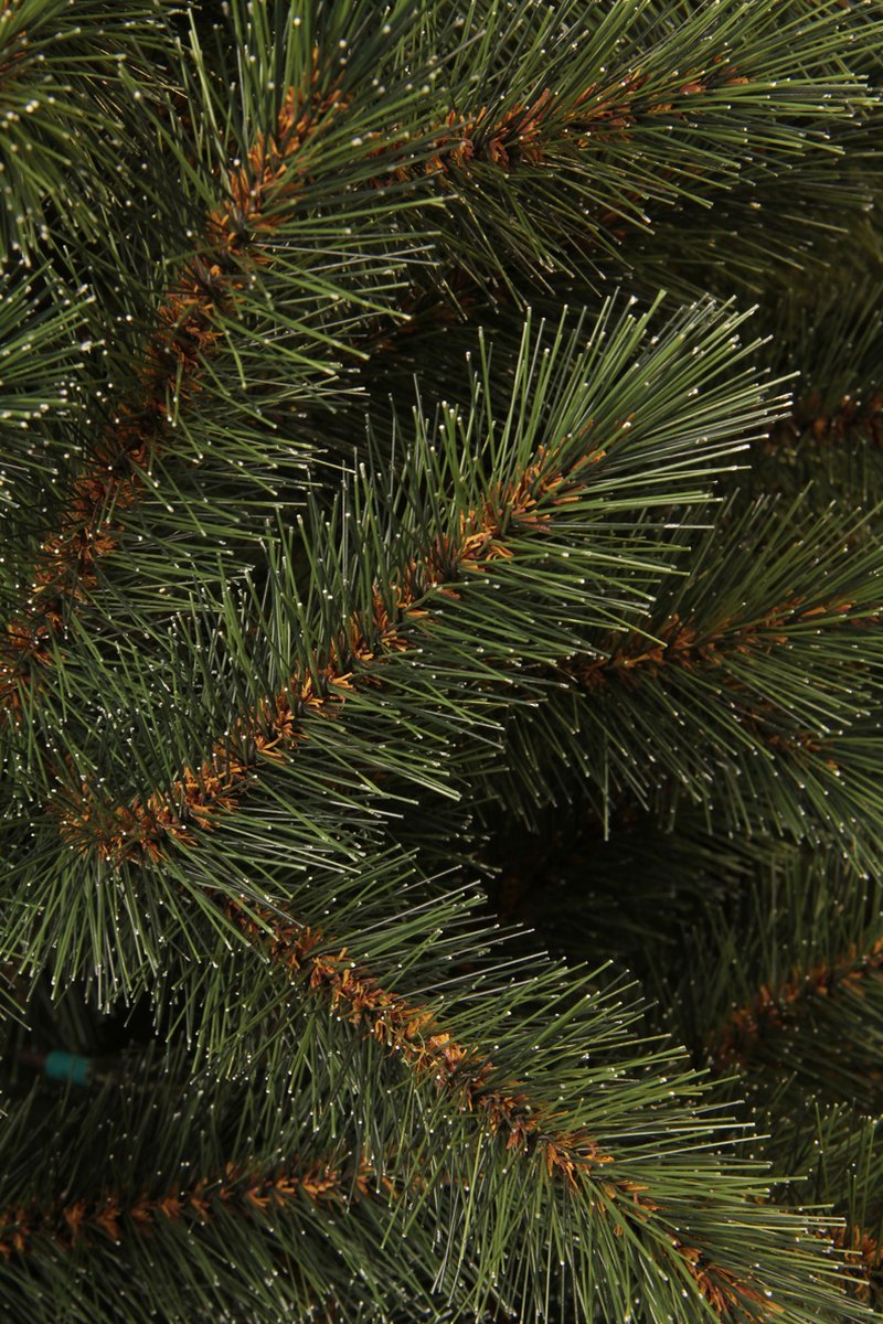 Triumph Tree Bristlecone Kunstkerstboom Groen H155xØ99cm