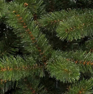 Triumph Tree Bristlecone Kunstkerstboom Groen H185xØ119 cm
