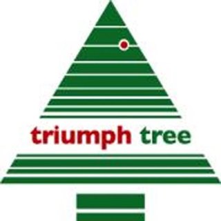 Triumph Tree Bristlecone Kunstkerstboom Groen H185xØ119 cm
