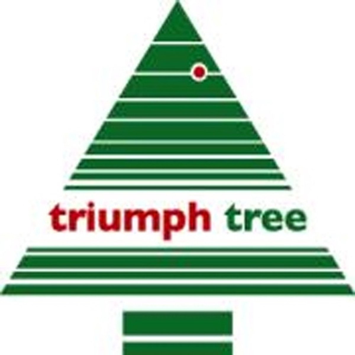 Triumph Tree Bristlecone Kunstkerstboom H120 Groen