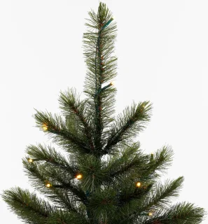 Triumph Tree Bristlecone Kunstkerstboom LED H155 Donkergroen