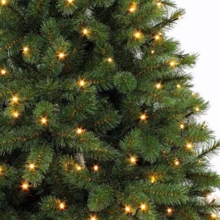 Triumph Tree Bristlecone Kunstkerstboom LED H185 Donkergroen