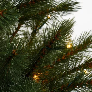 Triumph Tree Bristlecone Kunstkerstboom LED H185 Donkergroen