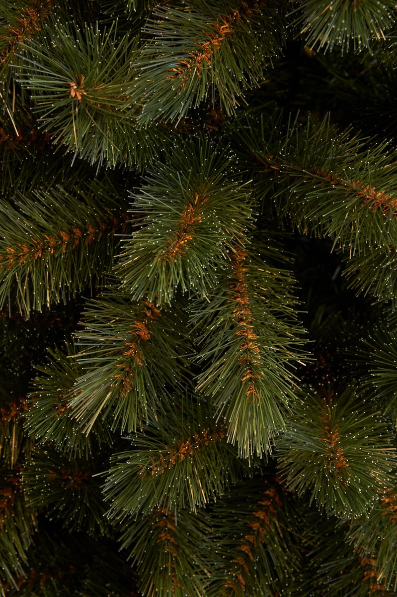 Triumph Tree Bristlecone Smalle Kunstkerstboom H230 Groen