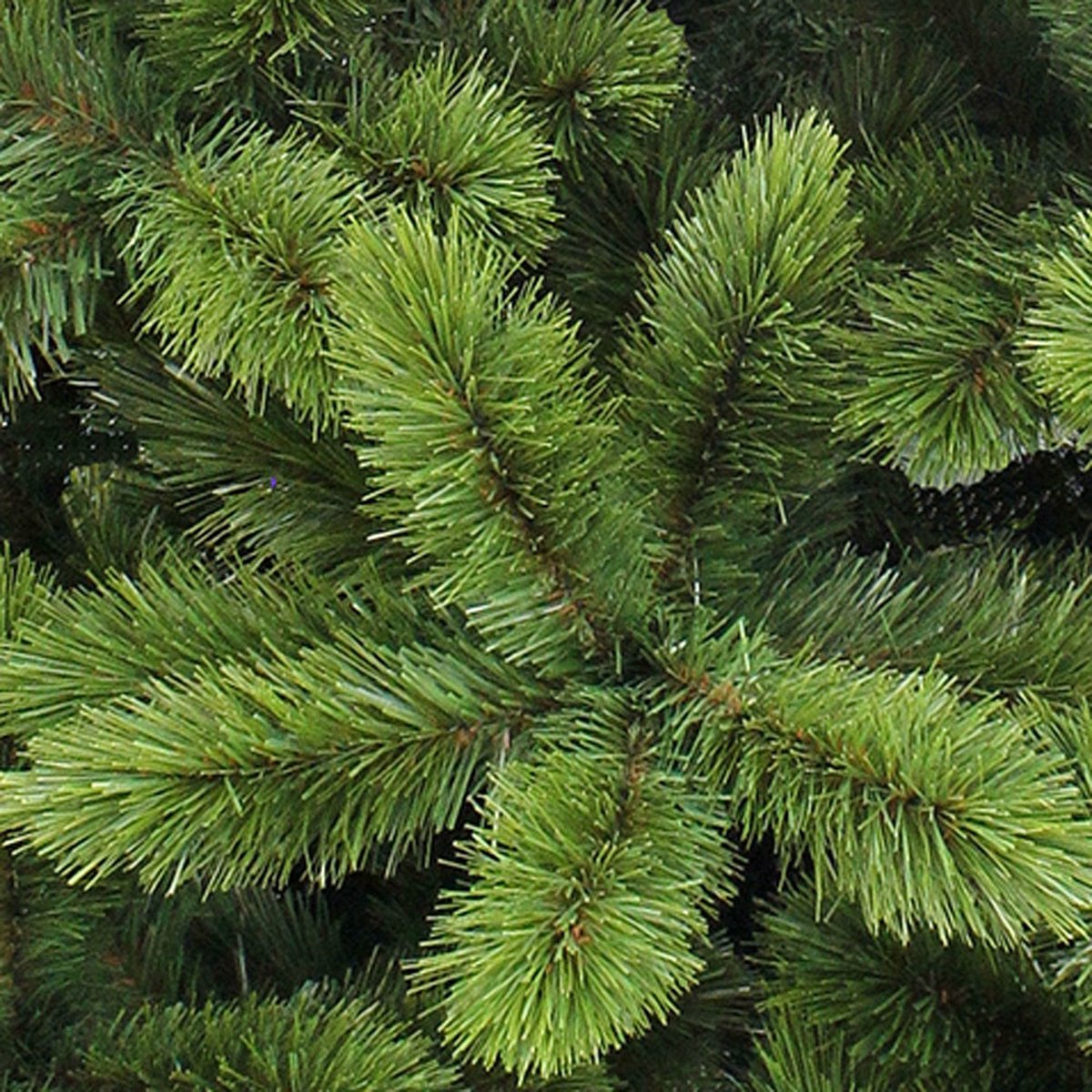 Triumph Tree Camden Kunstkerstboom H215 Groen