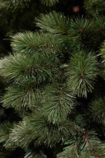Triumph Tree Camden Kunstkerstboom