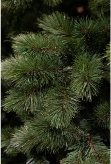 Triumph Tree Camden Kunstkerstboom Slim H185cm Groen