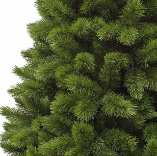 Triumph Tree Camden Kunstkerstboom Slim H215 Groen