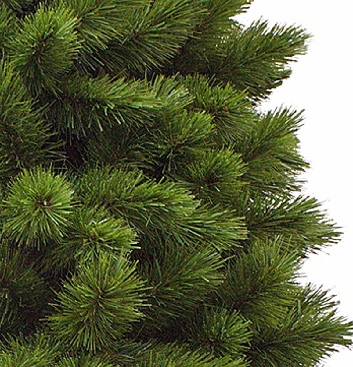 Triumph Tree Camden Kunstkerstboom Slim H230 Ø117 Groen