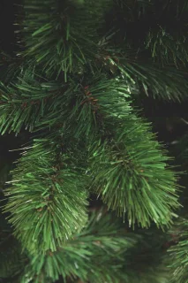 Triumph Tree Camden Kunstkerstboom Slim H230 Ø117 Groen