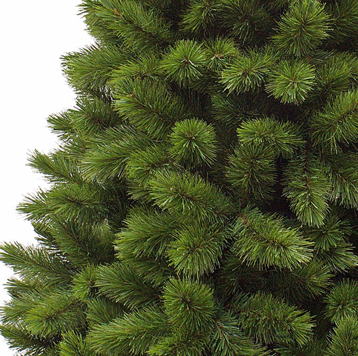 Triumph Tree Camden Kunstkerstboom Slim H230 Ø117 Groen