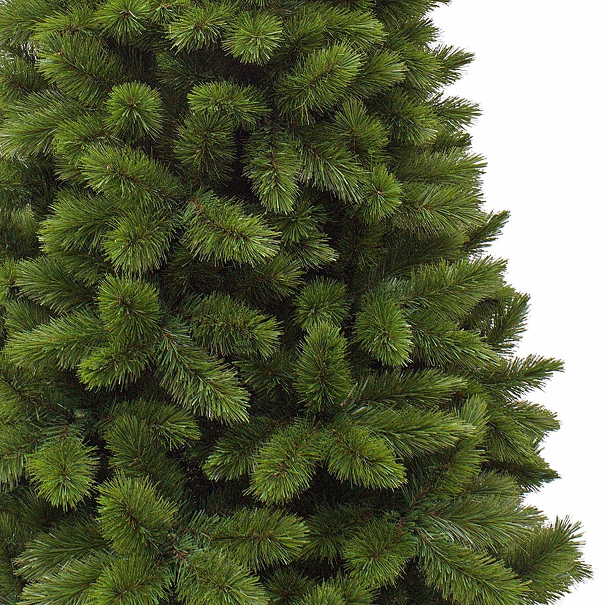 Triumph Tree Camden Kunstkerstboom Slim H230 Ø117 Groen