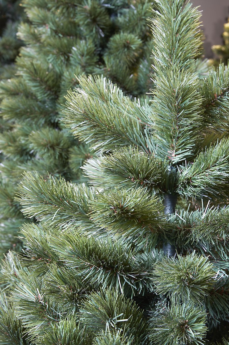 Triumph Tree Camden Kunstkerstboom Slim H230 Ø117 Groen