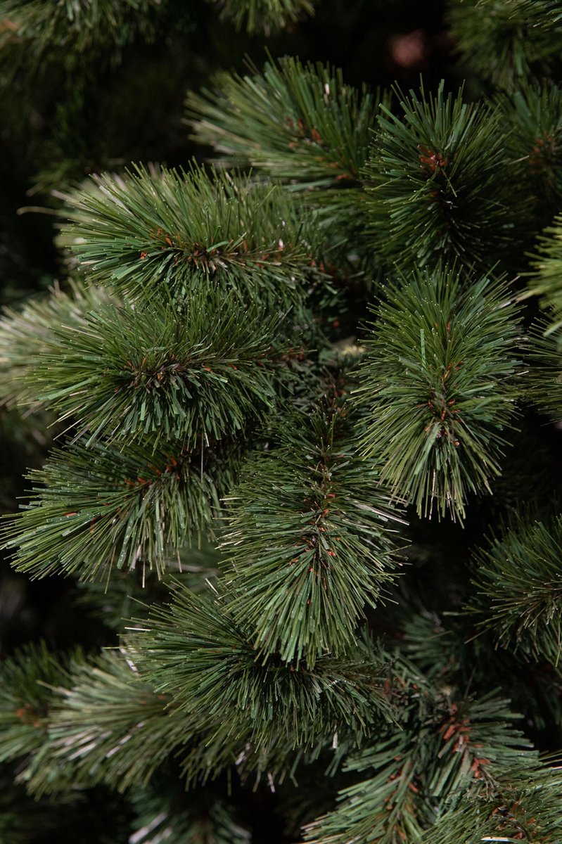 Triumph Tree Camden Kunstkerstboom Slim H230 Ø117 Groen