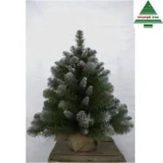 Triumph Tree Empress Spruce Kunstkerstboom