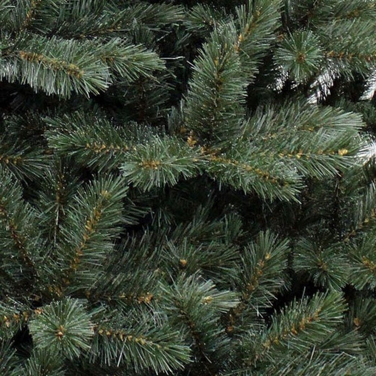 Triumph Tree Forest Frosted kunstkerstboom 155x119 Newgrowth Blue