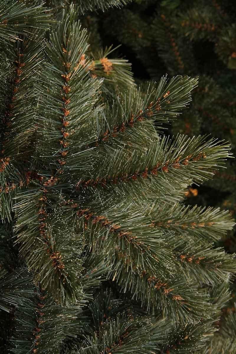 Triumph Tree Forest Frosted kunstkerstboom 155x119 Newgrowth Blue