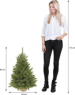 Triumph Tree Forest Frosted Kunstkerstboom 90 cm Groen