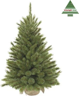 Triumph Tree Forest Frosted Kunstkerstboom Groen H90xØ62 cm