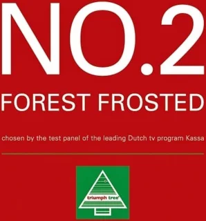 Triumph Tree Forest Frosted Kunstkerstboom H185xØ130 cm Groen