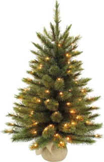 Triumph Tree Forest Frosted Kunstkerstboom H60 x Ø46 cm Groen