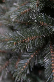 Triumph Tree Forest Frosted Kunstkerstboom