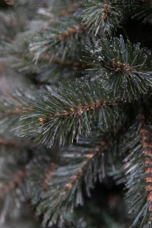 Triumph Tree Forest Frosted Slim Kunstkerstboom
