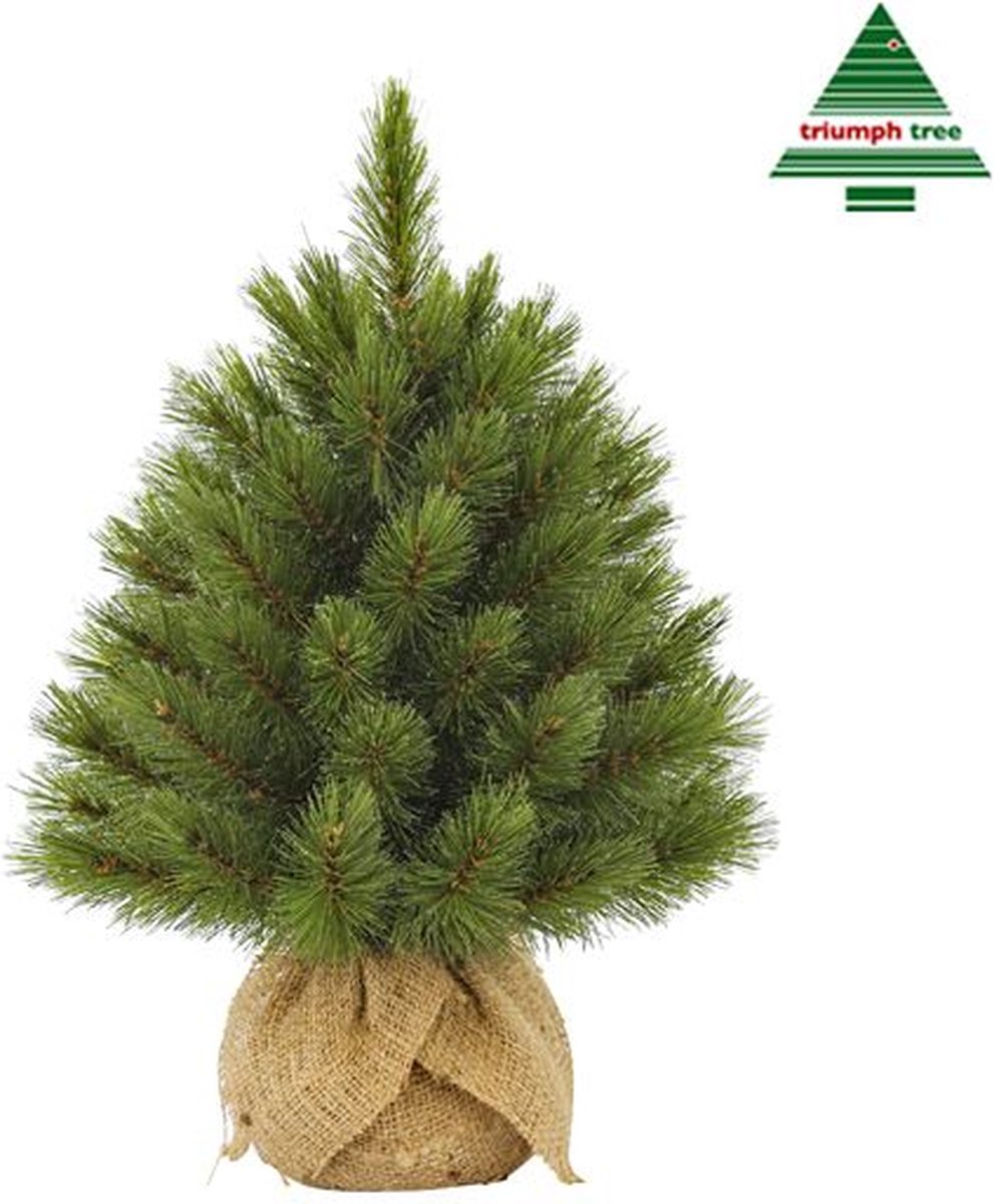 Triumph Tree Forest Kunstkerstboom H45 Ø36 cm Groen