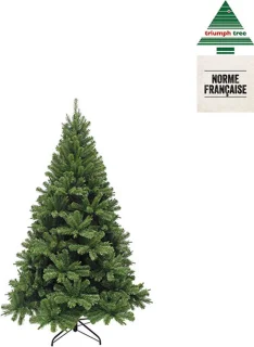 Triumph Tree Forrester Kunstkerstboom Groen H155xØ102 cm