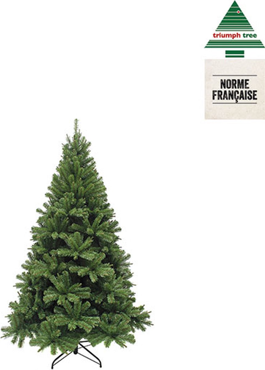 Triumph Tree Forrester Kunstkerstboom H120 Groen