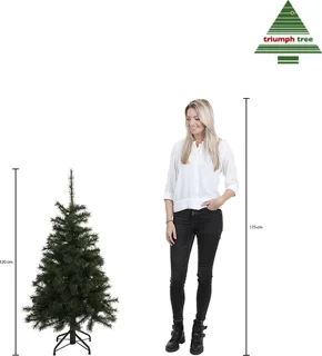 Triumph Tree Forrester Kunstkerstboom H120 Groen