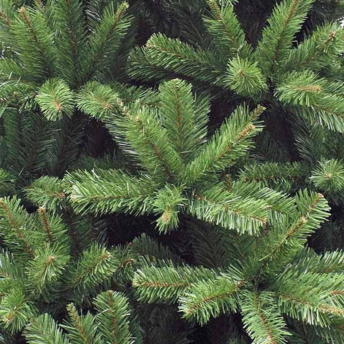 Triumph Tree Forrester Kunstkerstboom H230 Ø142 cm Groen