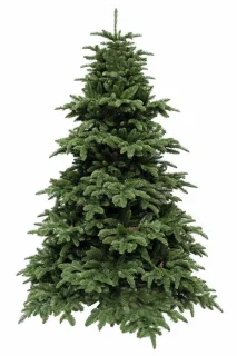 Triumph Tree kunstkerstboom Abies Nordmann 155 x 122 cm donkergroen