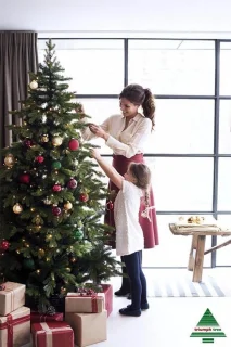 Triumph Tree kunstkerstboom Forest Frosted 120x99 Newgrowth Blue