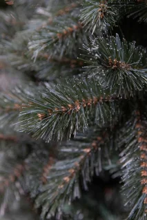 Triumph Tree Kunstkerstboom Forest Frosted