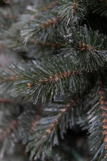 Triumph Tree Kunstkerstboom Forest Hardnaald 90 cm Besneeuwd Blauw