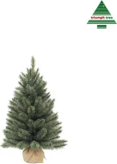 Triumph Tree Kunstkerstboom Forest Hardnaald 90 cm Besneeuwd Blauw