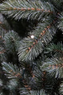 Triumph Tree Led Forest Frosted kunstkerstboom 215 x 140 cm