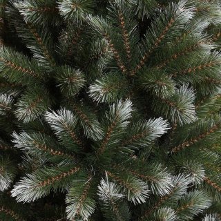 Wat vinden we goed aan de Triumph Tree Pittsburgh kerstboom 120 cm