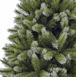 Triumph Tree Pittsburgh kerstboom 120 cm