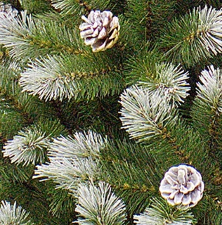 Triumph Tree Pittsburgh Kunstkerstboom Groen H185xØ102 cm