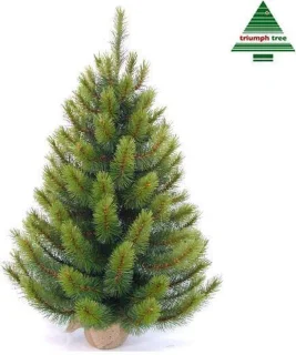 Triumph Tree Richmond kerstboom