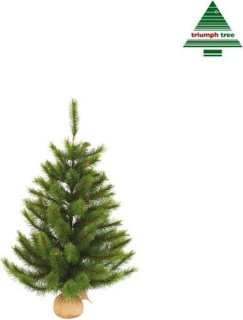 Kleine sfeer, natuurlijke uitstraling: Triumph Tree Richmond kerstboom