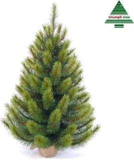 Triumph Tree Richmond Pine kunstkerstboom 90x69 cm