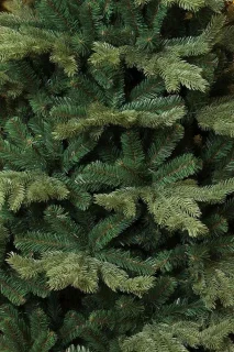 Triumph Tree Sherwood kerstboom