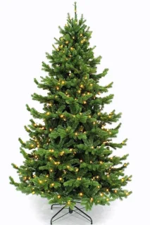 Triumph Tree Sherwood kerstboom