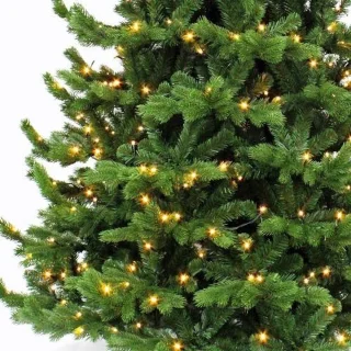 Triumph Tree Sherwood kerstboom